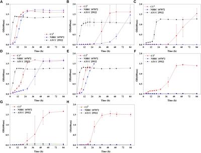 Adaptive Evolution of Sphingobium hydrophobicum C1T in Electronic Waste Contaminated River Sediment